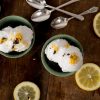 Hausgemachtes Sorbetto al Limone